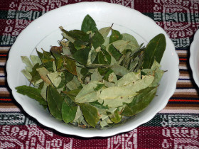 Hoja de coca