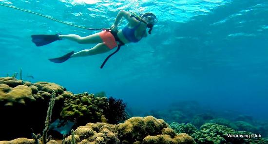 Photo (c) Trip Advisor 2017