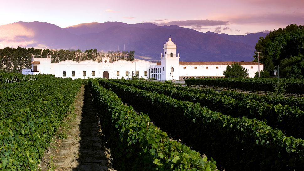 Salta, Argentina. Photo (c) Kiwi Collection 2017