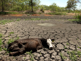 gobierno-anuncia-medidas-en-casanare-sequia-mar-25
