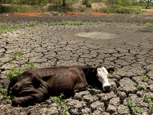 gobierno-anuncia-medidas-en-casanare-sequia-mar-25
