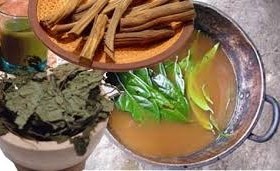 Ayahuasca tea being prepared