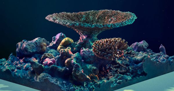 Photo (c) Futurism (2016)