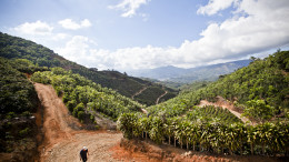 More than half the food in Latin America comes from 14 million smallholder farmers across the region. Photo (c) Hivos 2016