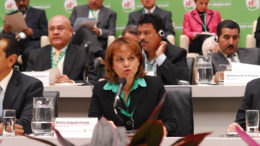 Delgado Peralta: "There are many factors that contribute to this new environmental crisis, many of them related to weakening institutions." Photo (c) Fundacion Pensar 2012