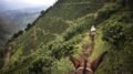 Adams: "Latin America is now one of the hottest areas for sustainable business and ecological investments." Photo (c) The Coffee Quest Colombia