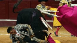 Bullfighting is exceptionally contentious. Tempers flare and tensions escalate when the topic is raised anywhere in the world, particularly Colombia. Photo (c) Publimetro 2017