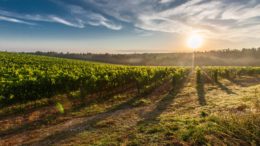 Enchanting Travels guest writer Rhonda Ainsworth and her daughter traveled to Argentina, stopping for a night in Cafayate to experience the renowned Argentine wines. Photo (c) Enchanting Travels 2017