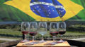 Learn more about South America's wineries and culture before you decide which place to go.
