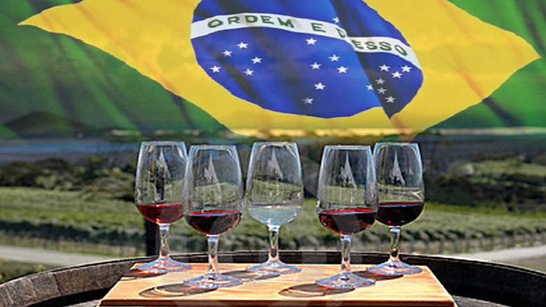 Learn more about South America's wineries and culture before you decide which place to go.