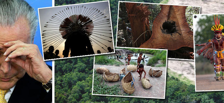 Private agribusiness on previously protected indigenous lands has thrown the Temer administration under international law violation investigations. Photo (c) Brasil 247 2017
