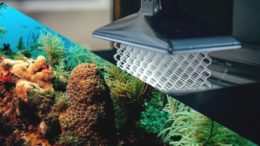 The Caribbean island of Bonaire is launching a ground-breaking project where 3D printers create artificial coral reefs to help counter environmental harm. Photo (c) Design Indaba 2018